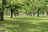 0 Shady Grove Road - Photo 10