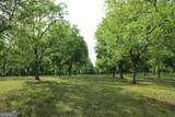0 Shady Grove Road - Photo 3