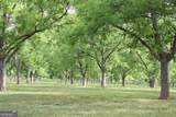 0 Shady Grove Road - Photo 4