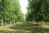 0 Shady Grove Road - Photo 6