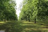 0 Shady Grove Road - Photo 7