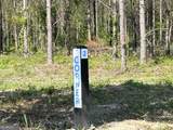 0 Dewey Thomas Road - Photo 8
