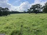 0 Bartram Trail - Photo 11