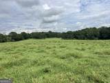 0 Bartram Trail - Photo 13