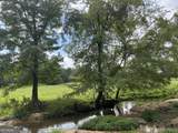 0 Bartram Trail - Photo 15
