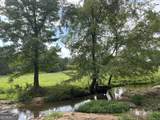 0 Bartram Trail - Photo 16