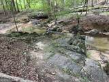0 Bartram Trail - Photo 22