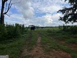 0 Bartram Trail - Photo 23