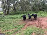 0 Bartram Trail - Photo 24