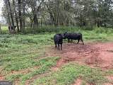 0 Bartram Trail - Photo 25
