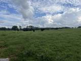 0 Bartram Trail - Photo 26