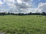 0 Bartram Trail - Photo 3