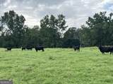 0 Bartram Trail - Photo 35
