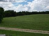 0 Bartram Trail - Photo 38