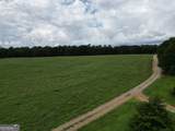 0 Bartram Trail - Photo 39
