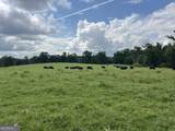 0 Bartram Trail - Photo 4