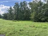 0 Bartram Trail - Photo 5