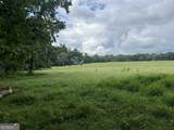 0 Bartram Trail - Photo 6