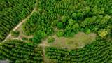 0 Pine Creek Road - Photo 12