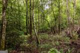 0 Pine Creek Road - Photo 23