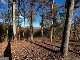 LOT 118 Winding Ridge - Photo 10