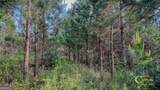 0 Welch Road - Photo 5