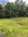 0 Oglethorpe East Highway - Photo 2