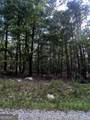 0 Elk Court - Photo 4