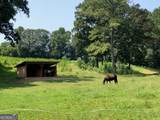 508 Pleasant Hill Church Road - Photo 9