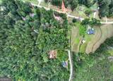 3.35 ACRES Keener Road - Photo 8