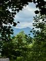 LOT 6 Raven Fork Trail - Photo 4