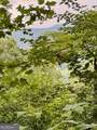 LOT 6 Raven Fork Trail - Photo 6