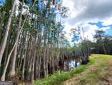 188 Brenda Road - Photo 14
