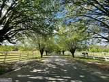 0 Highway 81 - Photo 8