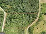 0 Jacks Hat Road - Photo 6