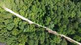 0 Bearden Road - Photo 6