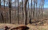 LOT 2 Rocky Knob Estates - Photo 1