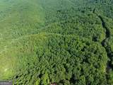 LOT 9 Brushy Top Drive - Photo 10