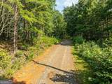 LOT 9 Brushy Top Drive - Photo 13