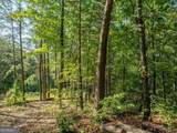 LOT 9 Brushy Top Drive - Photo 17