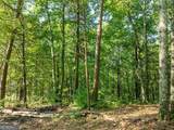 LOT 9 Brushy Top Drive - Photo 18
