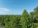LOT 9 Brushy Top Drive - Photo 19