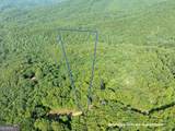 LOT 9 Brushy Top Drive - Photo 2