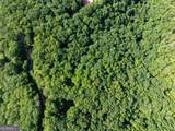 LOT 9 Brushy Top Drive - Photo 22