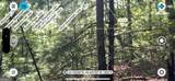 LOT 9 Brushy Top Drive - Photo 25
