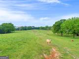 2450 Chestnut Grove Road - Photo 24