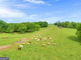 2450 Chestnut Grove Road - Photo 45