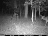 2450 Chestnut Grove Road - Photo 52