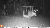 2450 Chestnut Grove Road - Photo 56