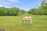 2450 Chestnut Grove Road - Photo 6